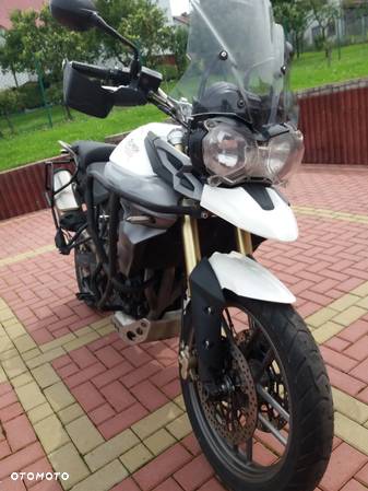 Triumph Tiger - 3