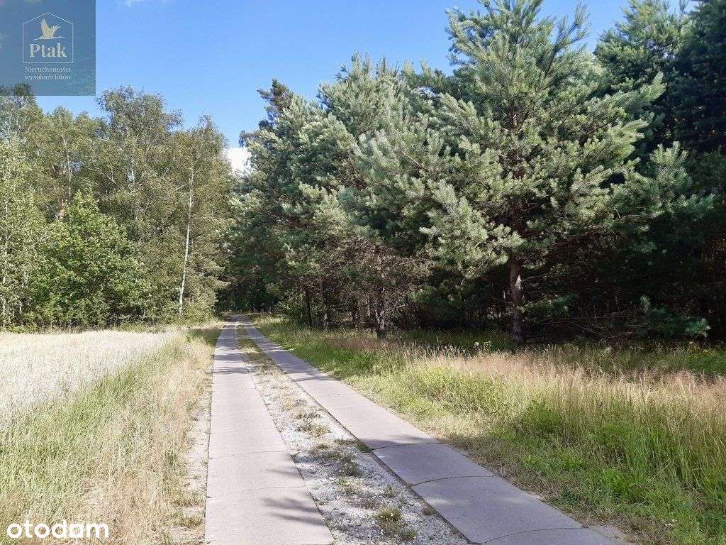 Piękna duża działka budowlana przy lesie - Pełny obrazek: 5/17