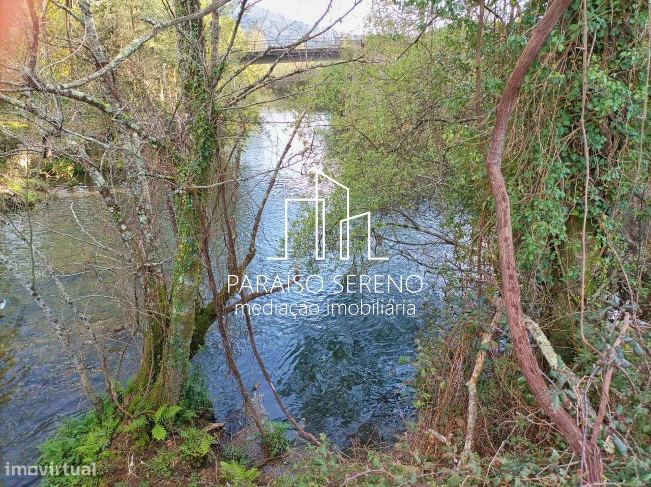 Terreno em Ossela - Grande imagem: 5/5