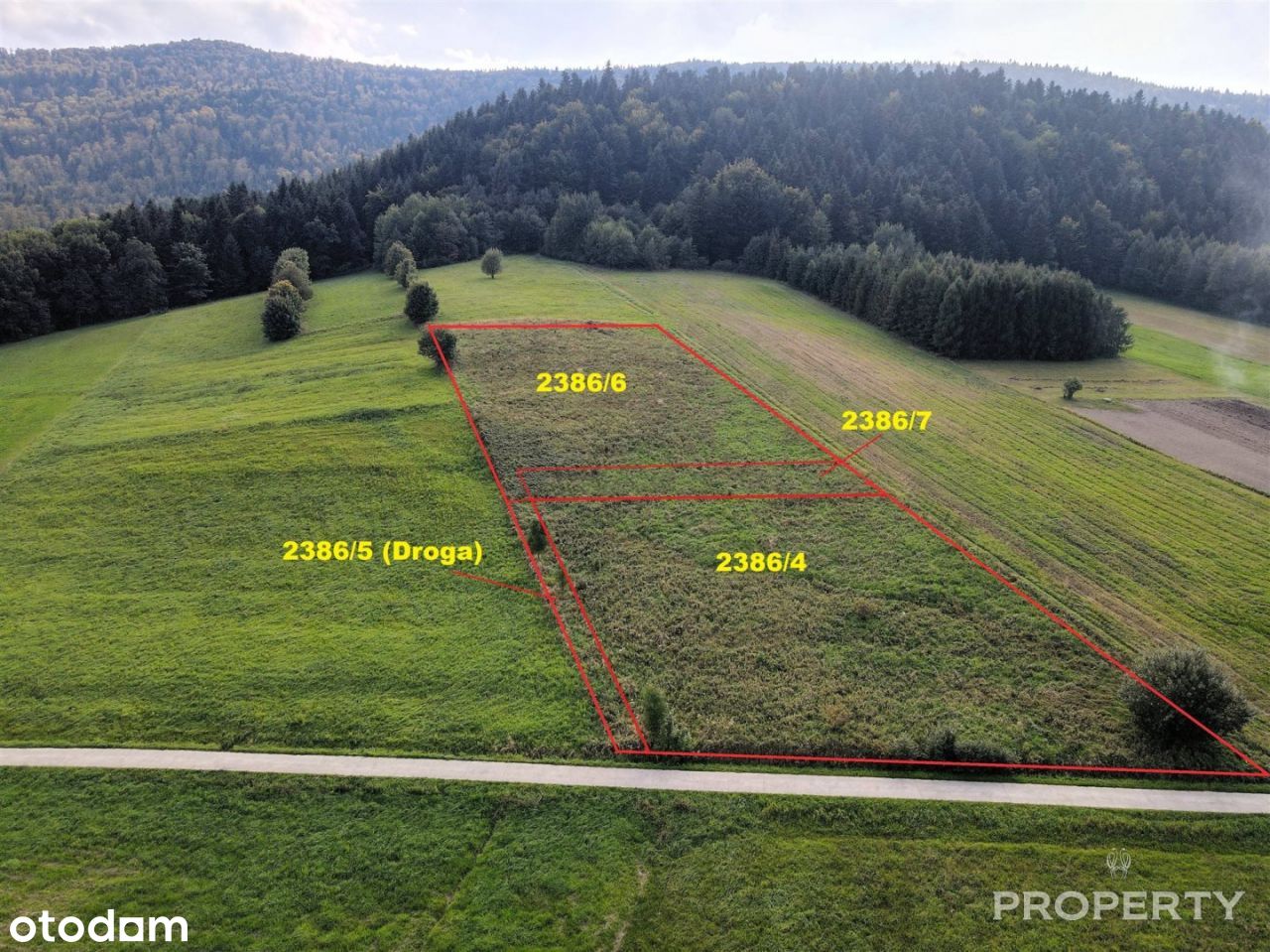 Grybów Ptaszkowa 3 działki widokowe 6041 m2