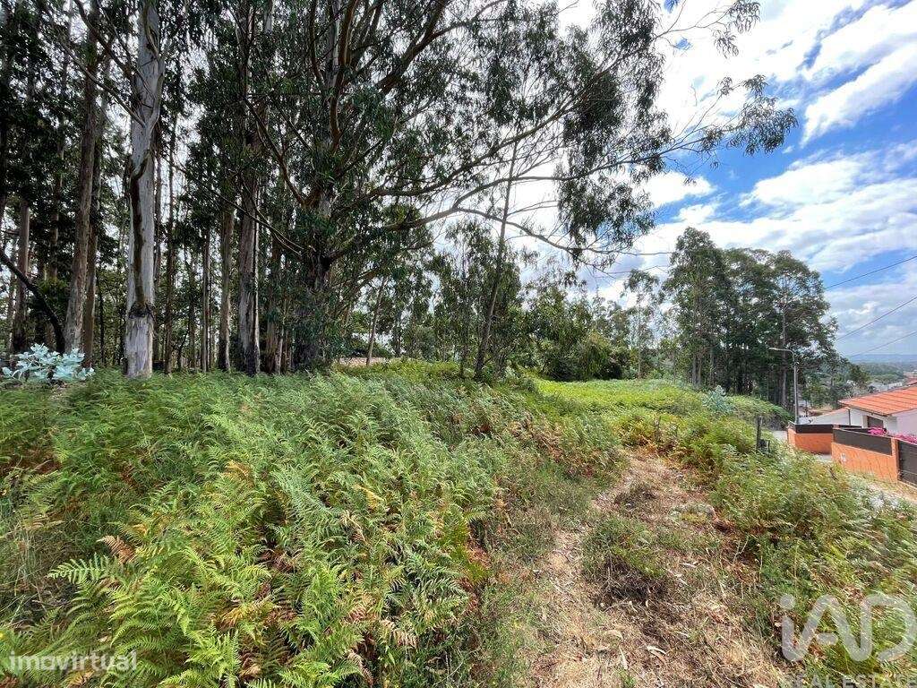 Terreno em Palmeira de Faro e Curvos de 10350,00 m2 - Grande imagem: 4/18