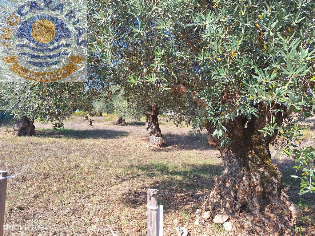 Terreno com viabilidade de construção. - Grande imagem: 4/8