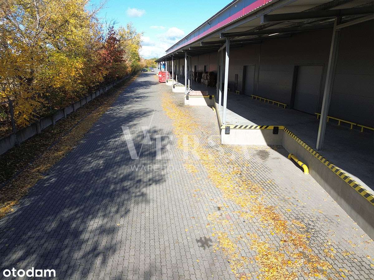 Magazyn do wynajęcia - Pełny obrazek: 5/10