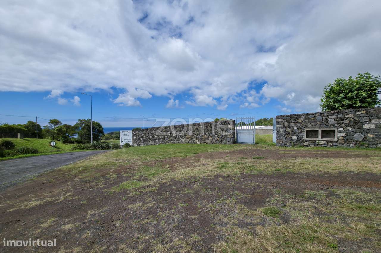 Terreno com viabilidade de construção - Rosto do cão (São Roque) - Grande imagem: 4/17