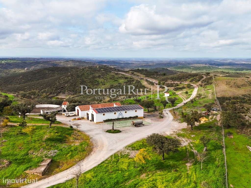 Herdade de Caça Maior com 1000 Hectares + 4 Apartamentos + Anexos-36
