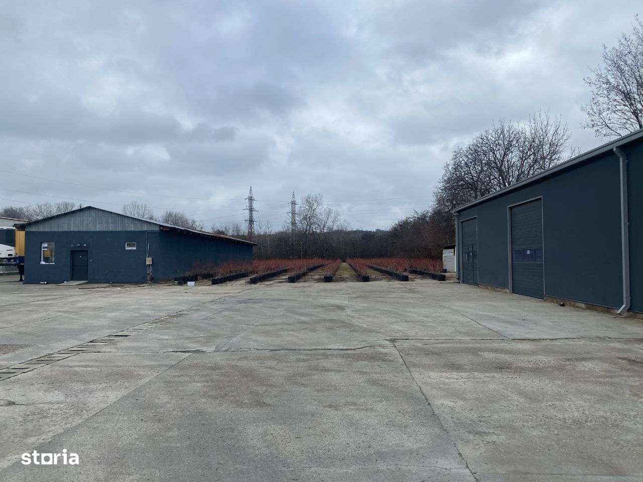 VIGAFON imob vinde hala frigorifica-spatiu depozitare-Boldesti-Scaeni - Imagine principală: 2/17