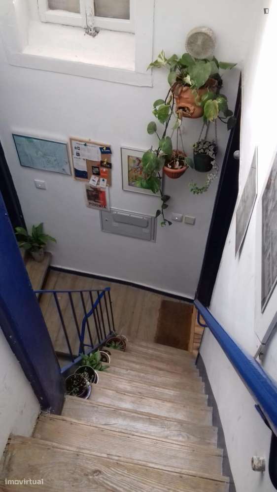 Apartamento com 1 quartos - localizado em Mouraria Lisbon - Grande imagem: 5/10