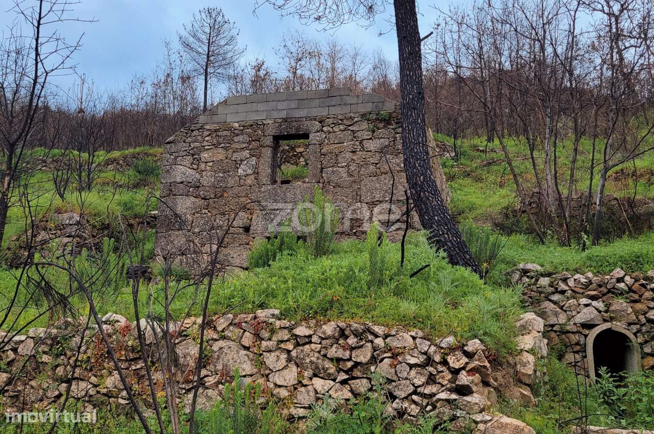 Quinta de ~3ha com duas moradias para reconstrução total - Grande imagem: 2/8
