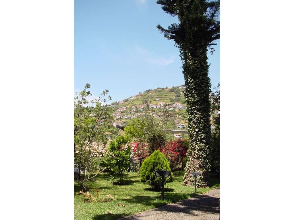 Quinta, Santo António - Grande imagem: 5/9