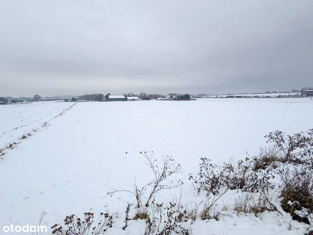 Dwie działki budowlane przy zalewie Zółtańce - Pełny obrazek: 4/7