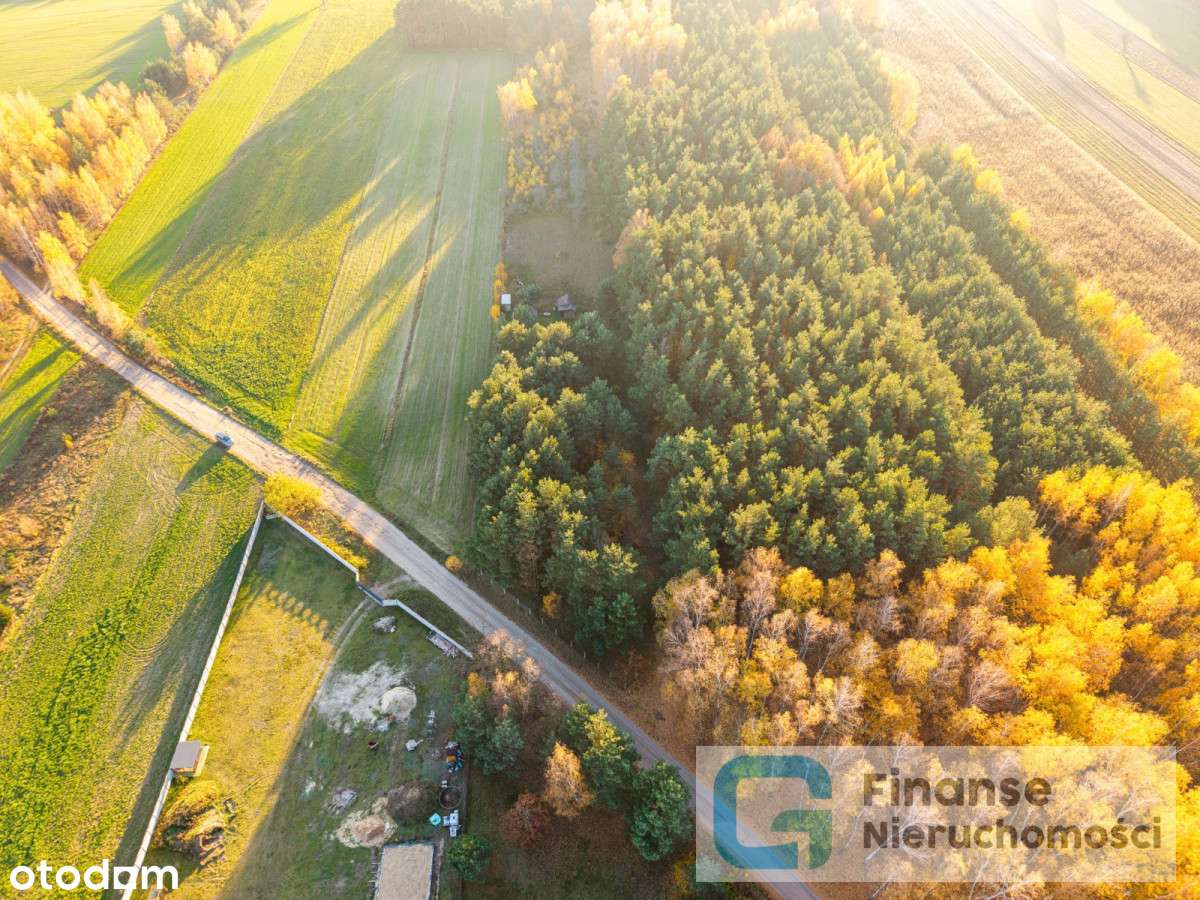 Działka na sprzedaż - Świnice - Pełny obrazek: 5/6