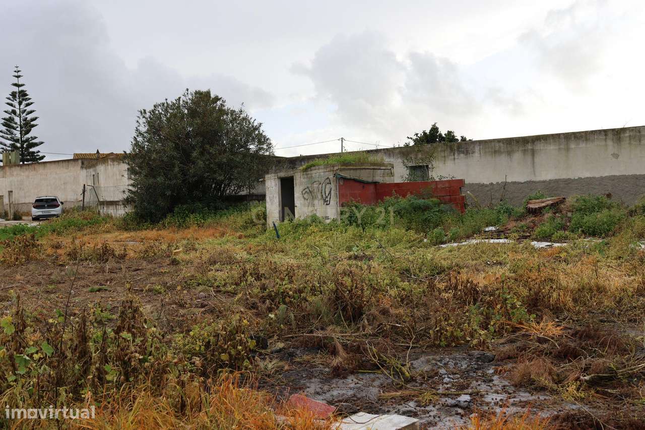 Alcochete, Estrada do Rego da Amoreira, Quinta c/ 1.250 m2 urbanos + 5 - Grande imagem: 3/25