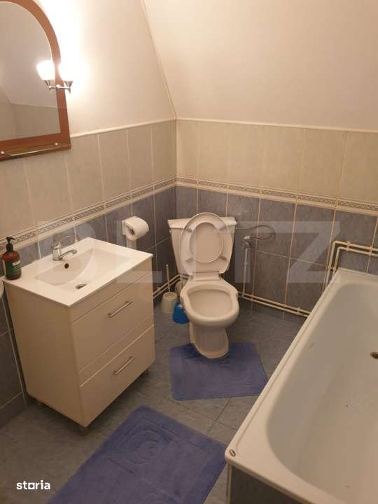 Proprietate cu doua cladiri in curte in apropiere de Cheile Turzii P+M-10