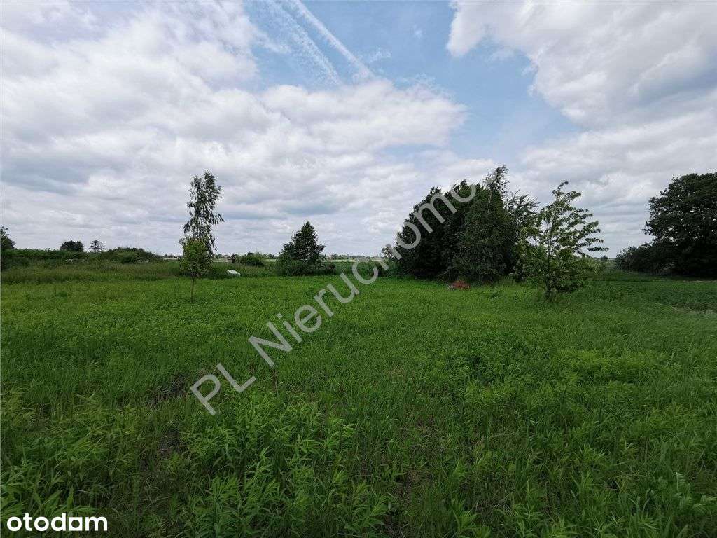 Działka pod dom z dużym ogrodem - Pełny obrazek: 5/5