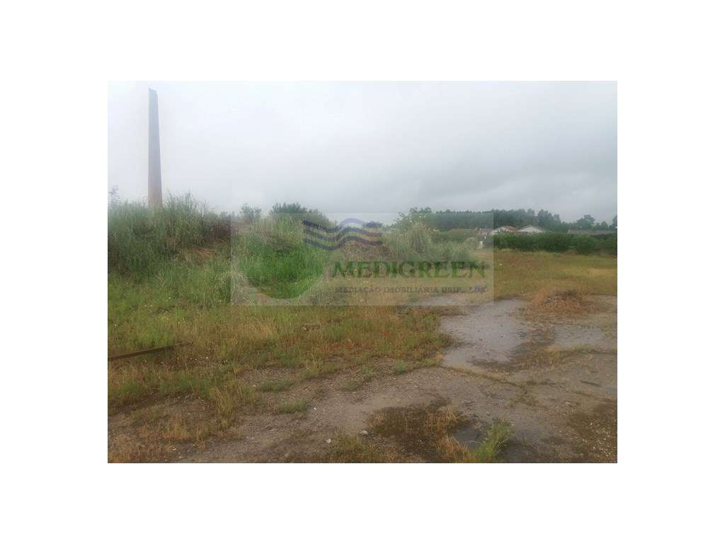 TERRENO NA BRANCA - Grande imagem: 3/7