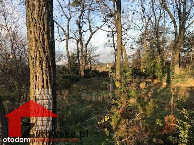 Działka nieopodal malowniczych terenów rezerwatu - Pełny obrazek: 4/12