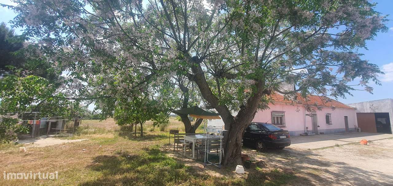 IMPERDÍVEL  Quinta em Foros do Carrapatal, Canha Montijo 51.000m2-12