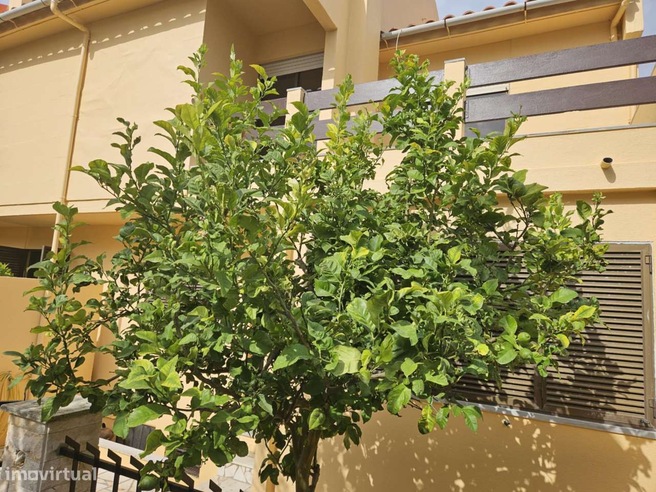 Moradia Geminada T4 na Aldeia do Juzo - Cascais-23