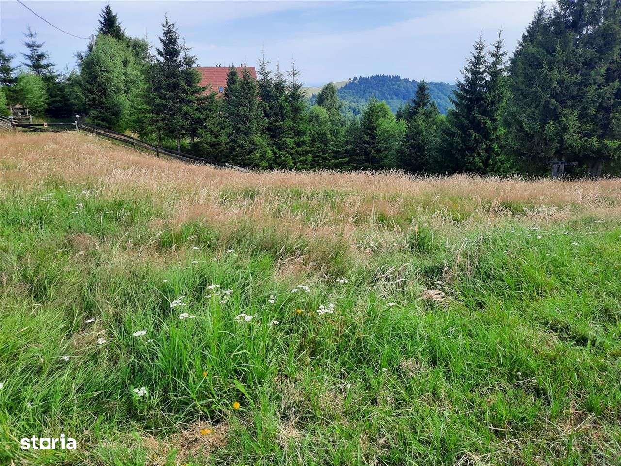 Teren intravilan pt cabană/pensiune – 800 mp, Păltiniș | Zonă superbă - Imagine principală: 2/7