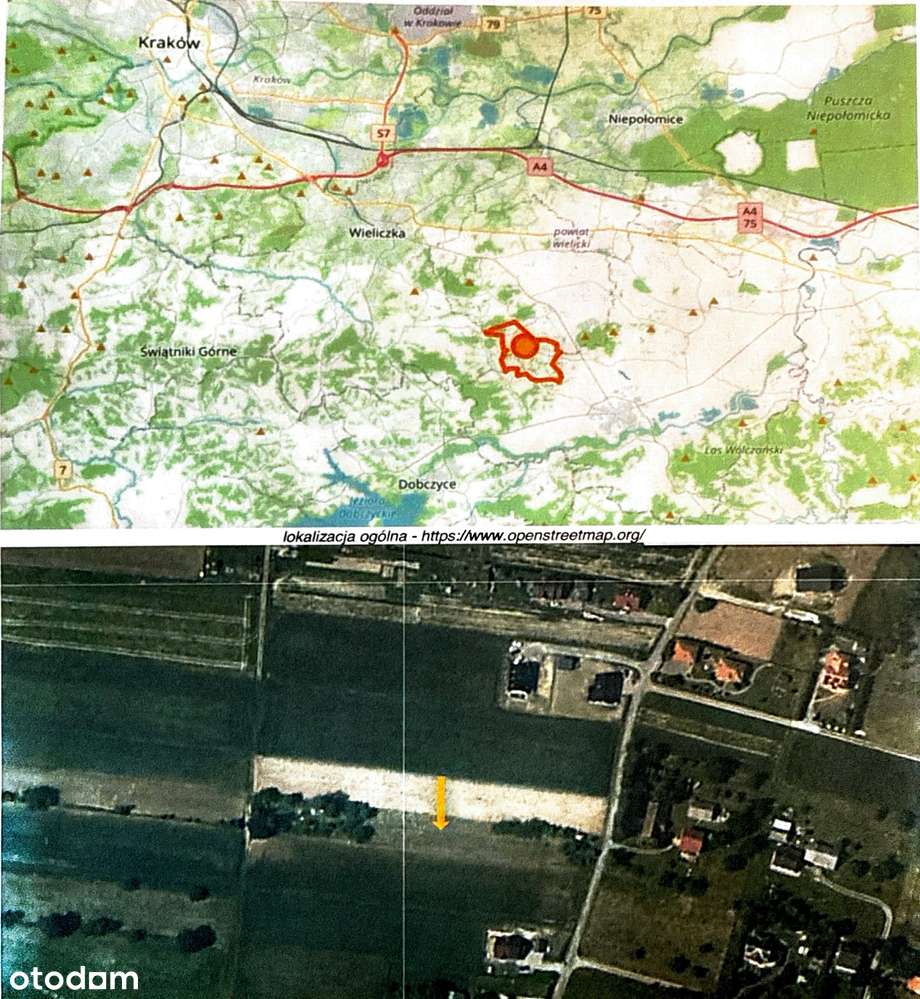 Sprzedaz Dzialki Slawkowice - Pełny obrazek: 5/5