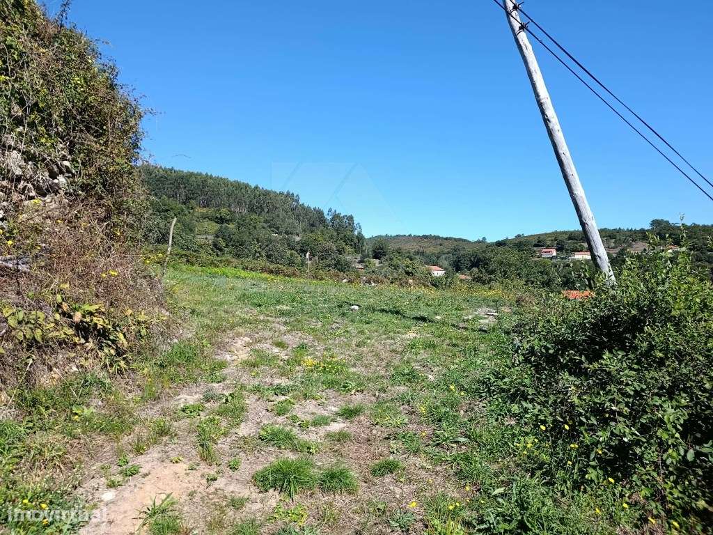 Terreno para Construção com 590 m²-0