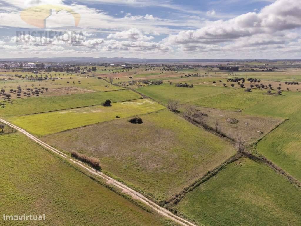 Terreno agrícola com 1,4125 ha a 15 minutos de Évora - Grande imagem: 5/13