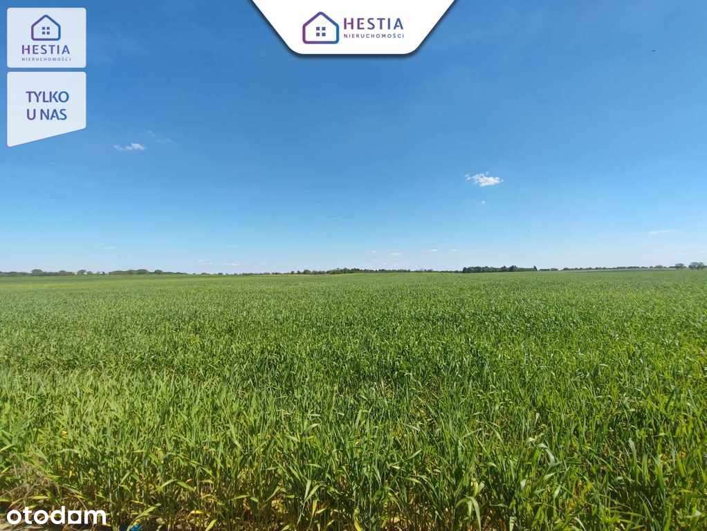 Tylko 75 zł/ m2 - działki pod Stargardem - Pełny obrazek: 3/6