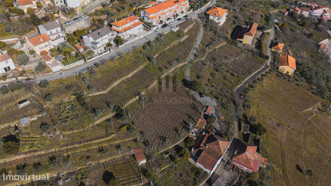 Oportunidade no Douro | Quinta com História | Lamego-5