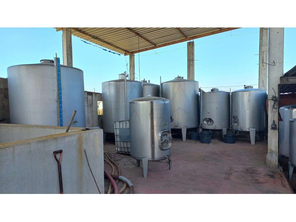 Herdade vinhateira próxima de Setúbal-16