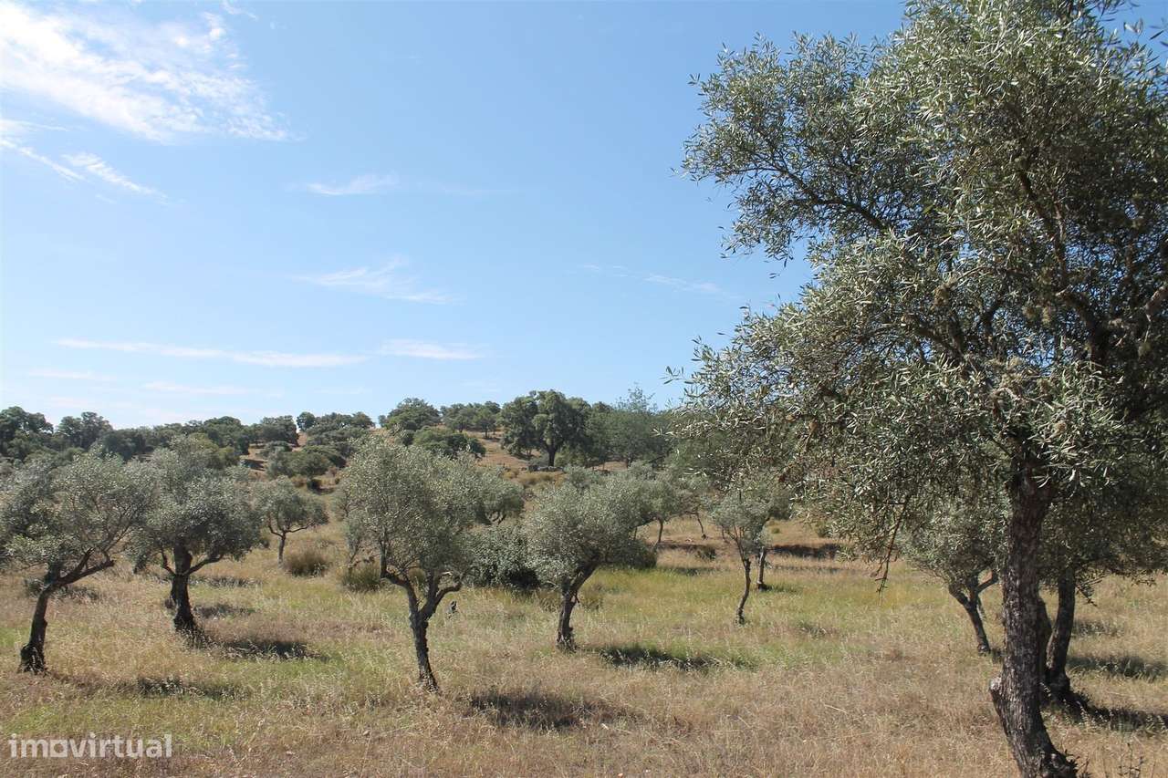 Moradia-16