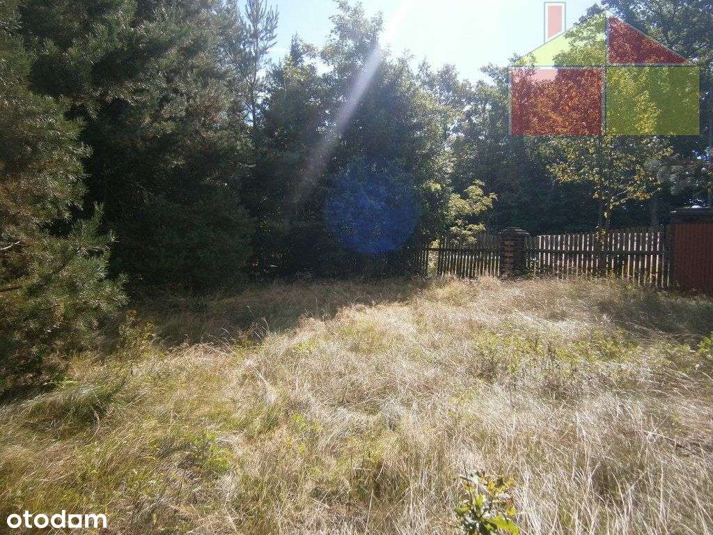 Atrakcyjna nieruchomość przy drodze głównej. - Pełny obrazek: 5/8