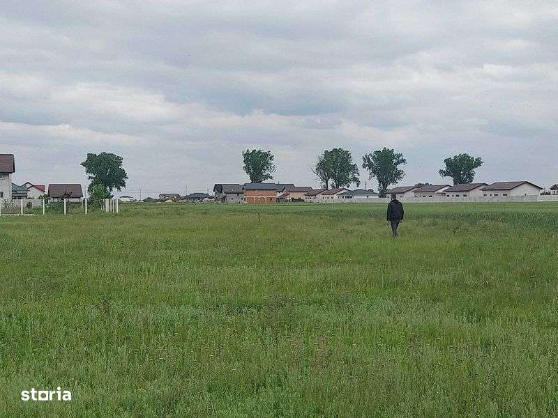 Vand teren intravilan Domnesti Teghes - Imagine principală: 5/6