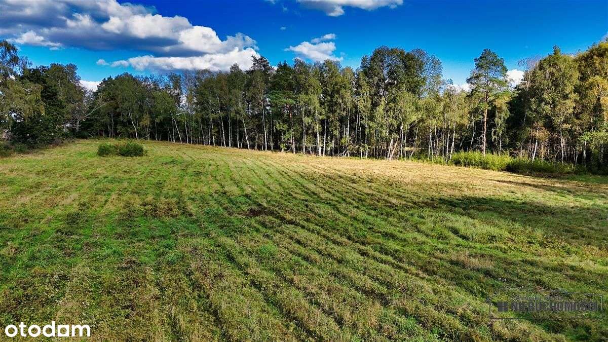 Pod Lasem Ok. 300 M Od Jeziora Pile - Dąbrowica --11