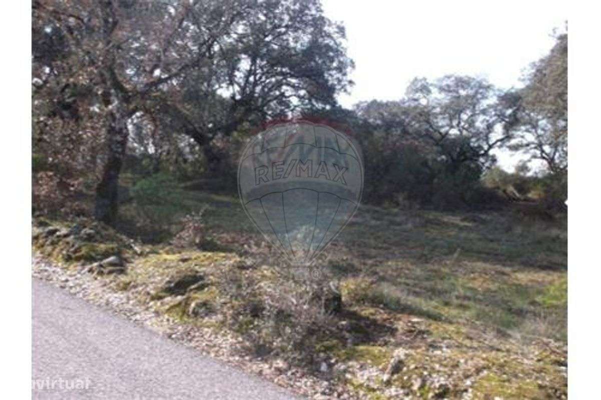 Terreno para construção - Grande imagem: 4/4