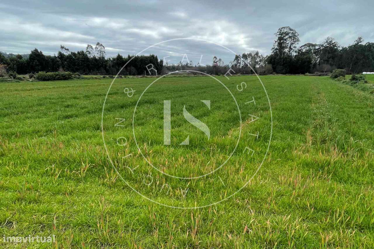 Prédio Rústico na Trofa - Grande imagem: 2/5