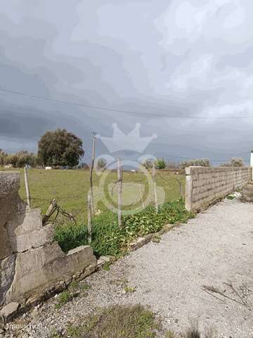 Terreno Urbanizável - Grande imagem: 4/14