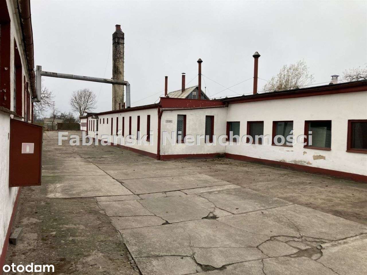 Hala produkcyjna - Pełny obrazek: 4/20