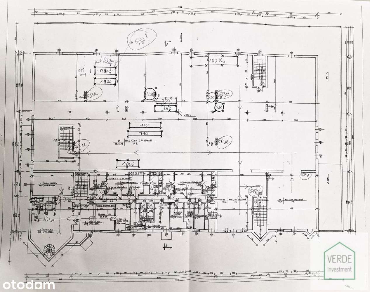 Hala produkcyjna branży spożywczej gotowa do pracy-19