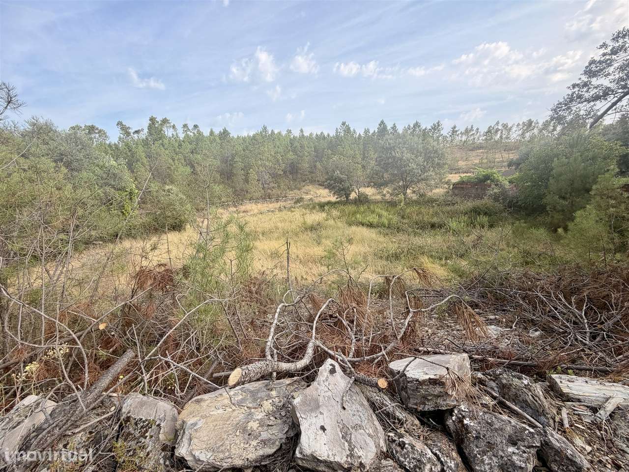 Quinta  Venda em Sarzedas,Castelo Branco-5