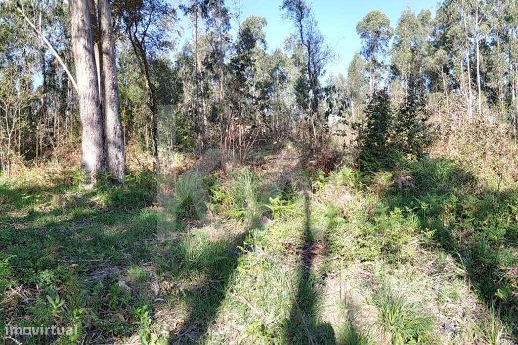 Terreno rústico com 700m2 na Avenida Jaime Isidoro (VL5) em Perosinho-14