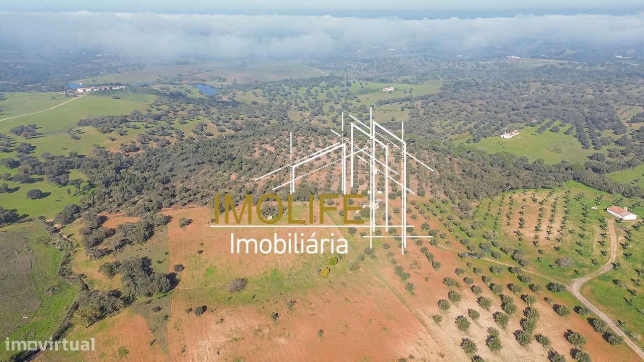 MONTINHO DO CHIADO - MALARRANHA - PAVIA-19