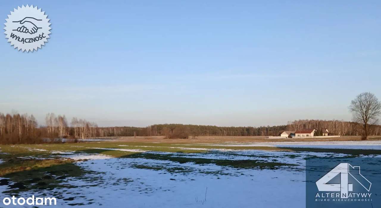 Gospodarstwo 7,4 ha ,nowy dom, siedlisko.-6