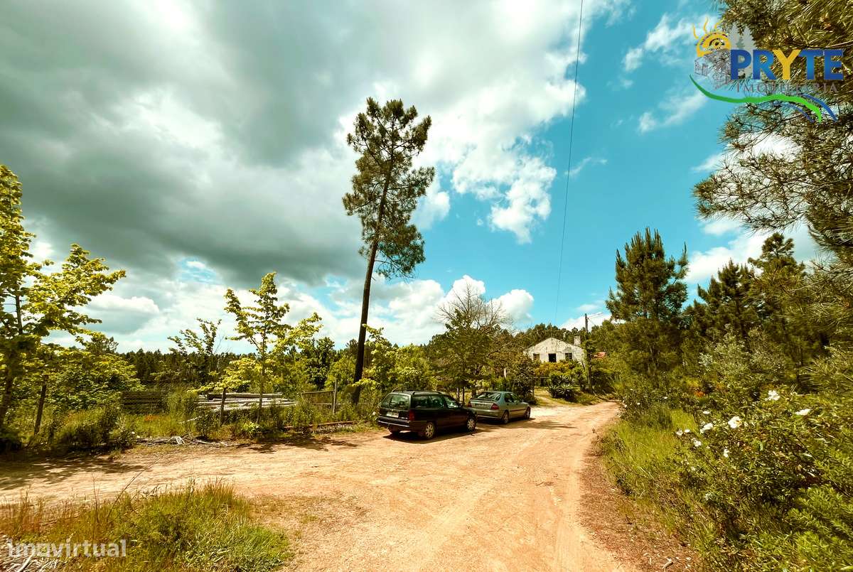 Quinta com 2 hectares de área total-sinónimo de privacidade e sossego-27