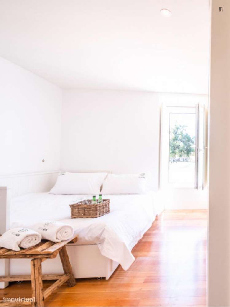 Casa com 6 quartos - localizado em Viana do castelo - Grande imagem: 3/50