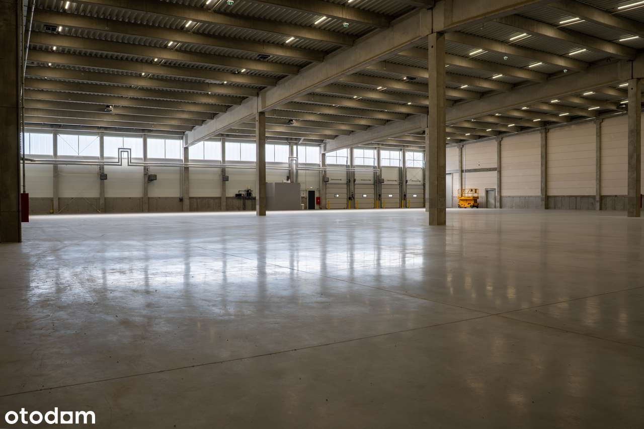 LTM LOGISTIC PARK POZNAŃ SOUTH - Pełny obrazek: 4/5