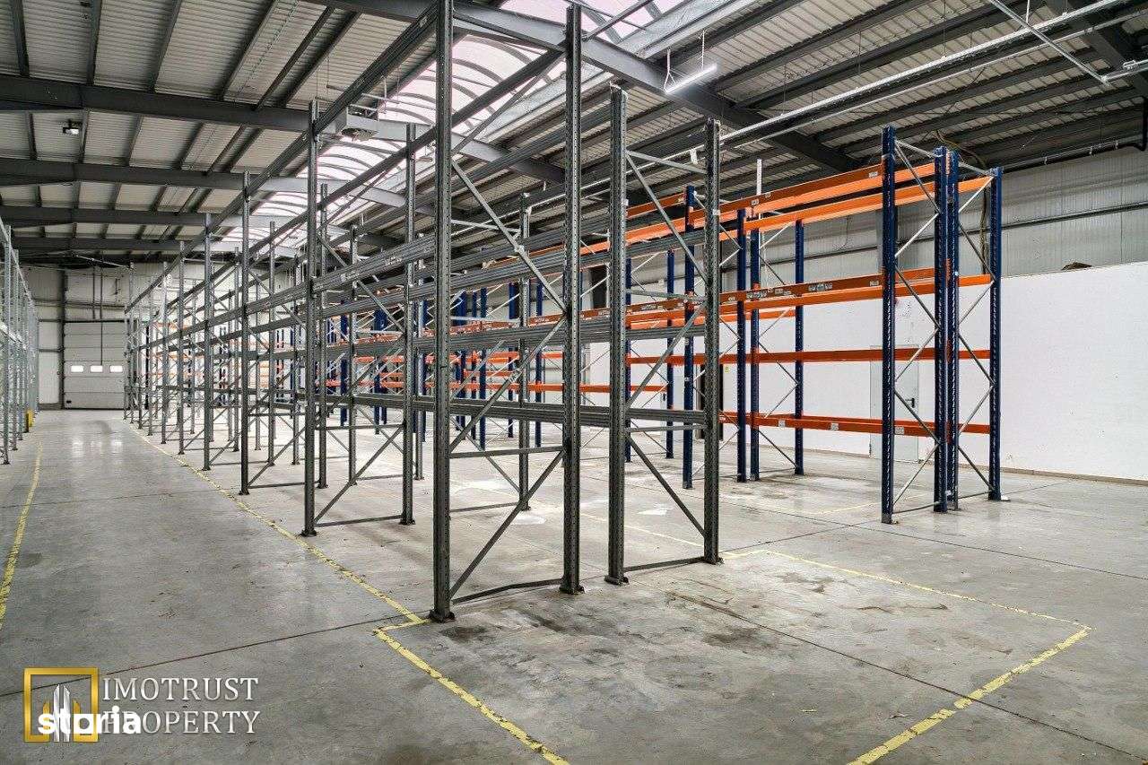 Vanzare Hala Premium 856 mp, Arad - Pret promotional!-5