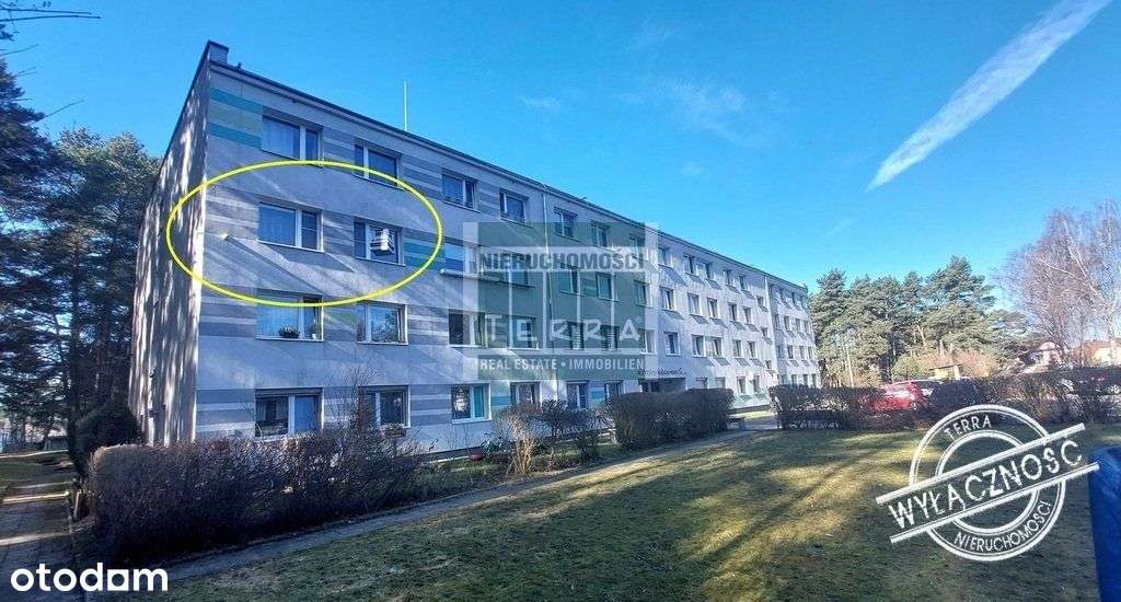 Klimatyczne mieszkanie przy lesie-0