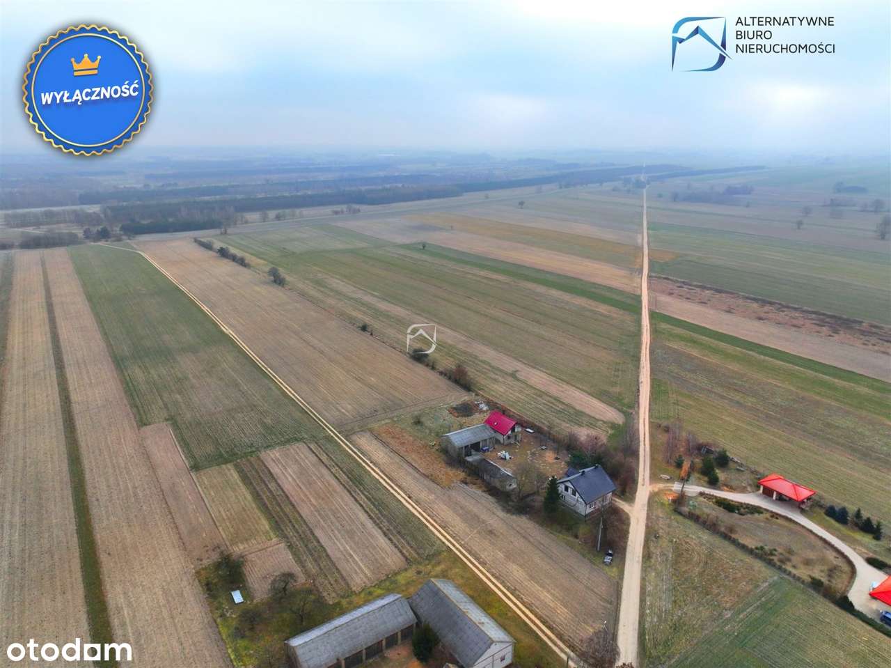 Działka pod zabudowę zagrodową w Zofianie - Pełny obrazek: 4/10