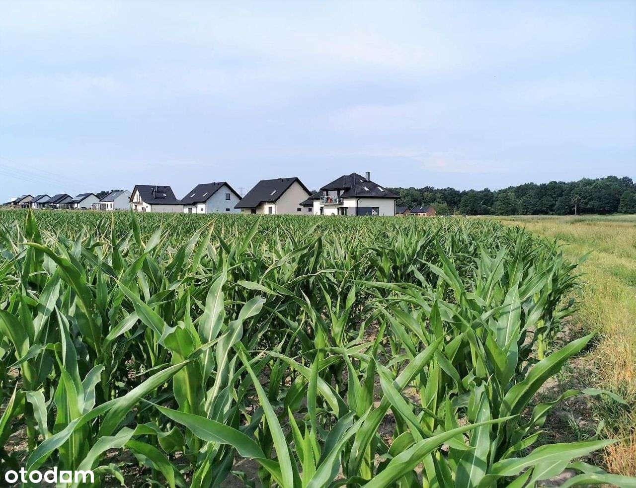 Ładna działka Gardawice, zielone otoczenie.-2