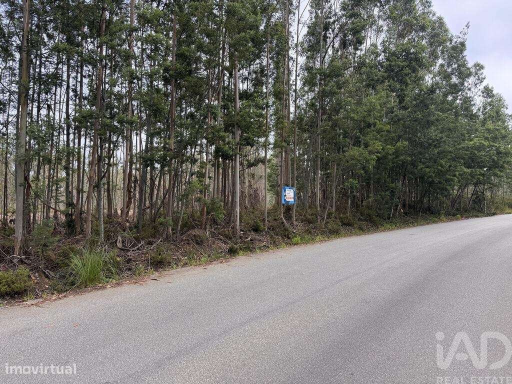 Terreno em Aguada de Cima de 2446,00 m2 - Grande imagem: 4/7